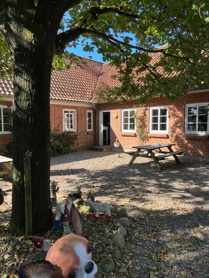 Familiehuis Boysen Bed&Breakfast Ribe Exteriér fotografie
